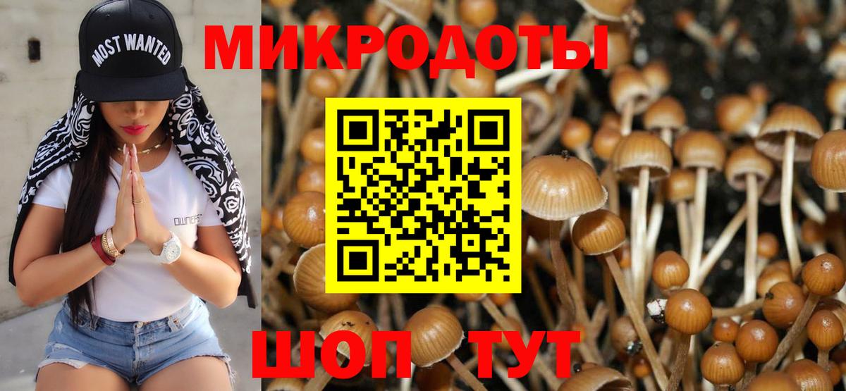 Галлюциногенные грибы ЛСД Елец