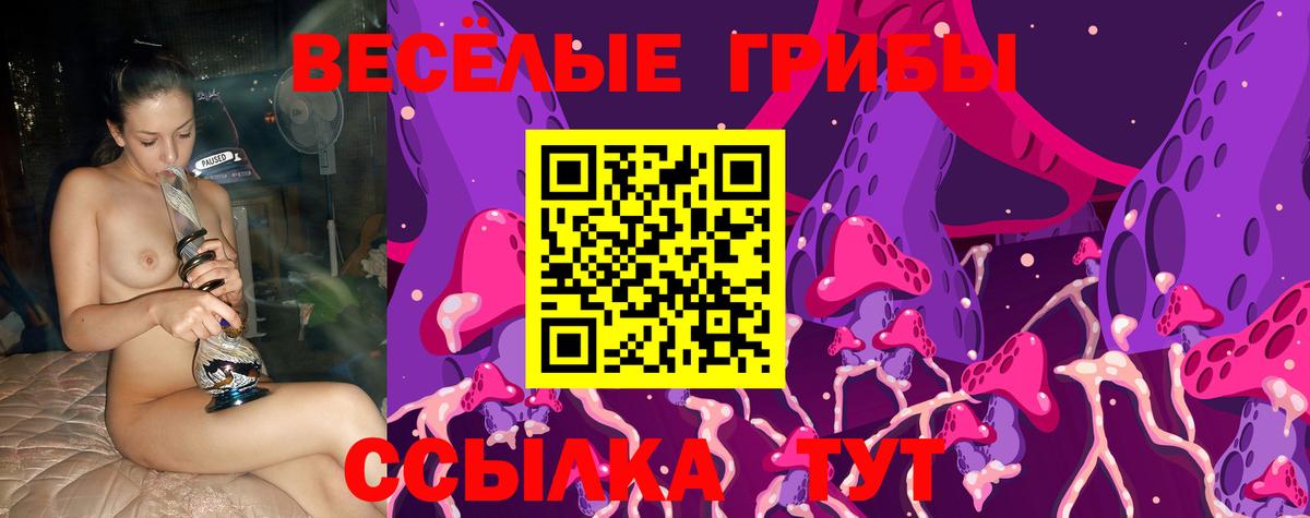 Елец  Галлюциногенные грибы Cubensis  Псилоцибиновые грибы мухоморы  Вход с VPN 